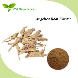 Halal Certified Angelica Extract Ligustilide Ferulic Acid  Dong Quai Extract