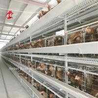 China Angle Iron Poultry Breeding Cage System For Nigeria Zambia Kenya Ghana Cameroon Sudan Gambia Nambia Market on sale