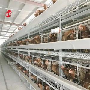 Angle Iron Poultry Breeding Cage System For Nigeria Zambia Kenya Ghana Cameroon Sudan Gambia Nambia Market