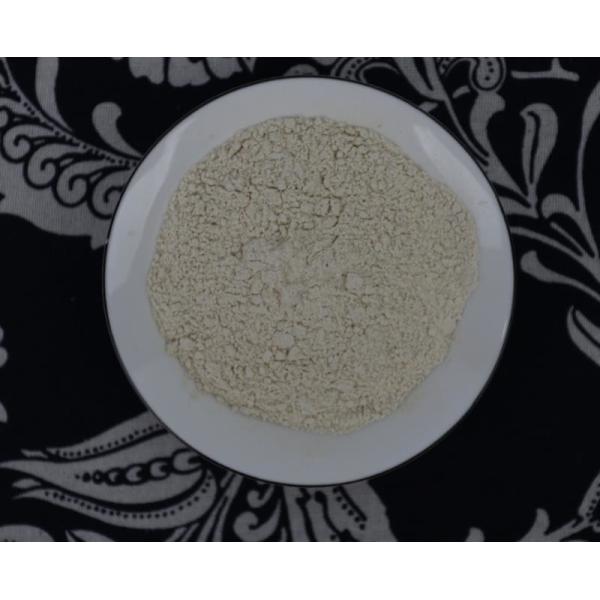 GMO Free Dehydrated Ginger Powder 120mesh 100mesh Low Bac
