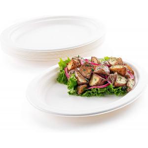 10 Inch 12 Inch Kraft Paper Plate Compostable For Restaurant