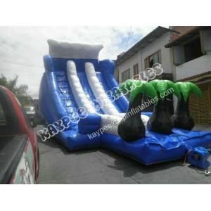 Hot Sell Inflatable palm tree slide ,Inflatable water slide,inflatable wet dry slide