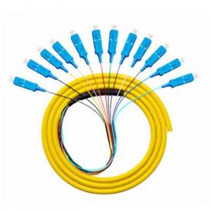 Sc APC Upc Fiber Optic Pigtail 12 Cord Fibers Bunch Pigtail Multimode Single Mode