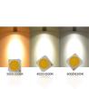 China R17mm 24V LED COB Chips 1919 Series Ra80 3000K 4000K 6500K No Glare Light wholesale