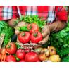 China All Crops Application Fast Soluble Organic Amino Acid Powder for Boosting Yield and Cleansing Toxins wholesale