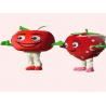 China handmade tomatoes mascot cartoon costumes for kids and adults wholesale