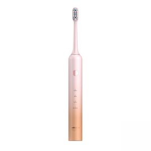 China Adult Electric Toothbrush Waterproof USB Charging Rechargeable IPX7 Powerful With Carrying Case supplier