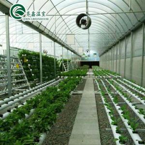 China PO Single Layer Greenhouse for Agriculture Boost Agricultural Production supplier