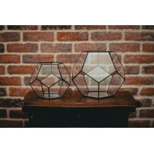 Modern Artistic Clear Geometric Glass Terrarium Flower Pot Environmental For Room