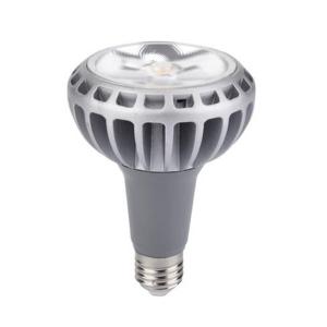 China ceiling E27 spot lamp cup PAR30 30w 85-265V 2500lm 25degree supplier