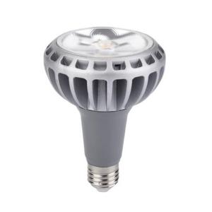 High CIR>80 par30 led E27 4000k 30w led par30 PF>0.9