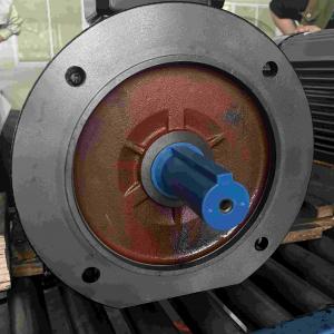 Three Phase High Voltage Induction Electric Motor Low Vibration
