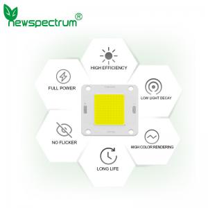 DC 20w Led Light Beads High Brightness Cold White Solar Light Source