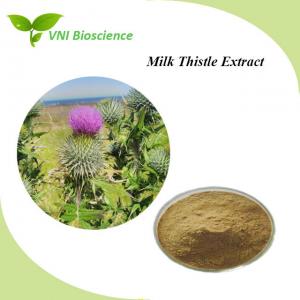 Plant Milk Thistle Seed Extract