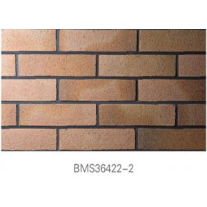 China Low Water Absorption Exterior Thin Brick Durable For Real Estate supplier