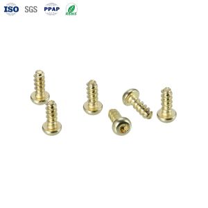 China オーダーメイドファスナー ゴールド ヘクサゴンロブラーソケットパンヘッド OEM ODMサービスと平面コーティングのセルフタッピングスクリュー wholesale