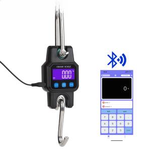 China Balance numérique suspendu industriel Bluetooth Weiheng WH-C06, haute capacité et mesure précise pour l'industrie wholesale