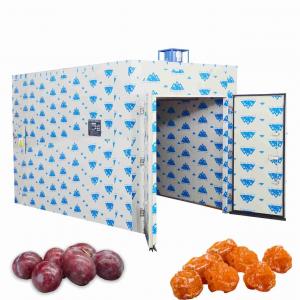 As ameixas secas do PLC Ume de 1000KG 26Kw aquecem o secador Berry Fruit Tray Dryer do alimento da bomba