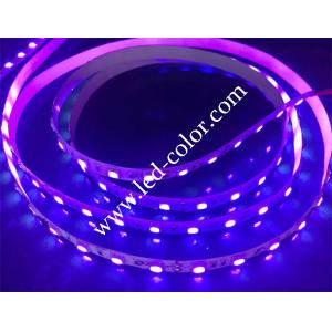 China dc12v purple color led strip wholesale