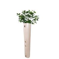 China Polypropylene Corrugated Plastic Tree Guard Vine Protector Lightweight Foldable on sale