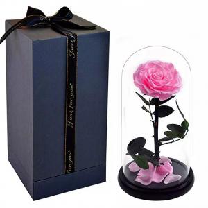 Promotion Price Preserved Roses in Glass Dome That Last A Year
