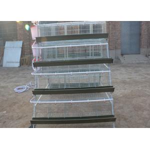 Animal Galvanized Poultry Farming Layer Chicken Cage