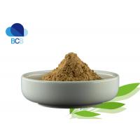 China Dandelion Root Extract Powder Dietary Supplements Ingredients Herb Flavonoids 5% on sale