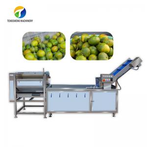China Customized Citrus Fruit And Vegetable Processing Line Impurities Treatment Sewage Disposal supplier