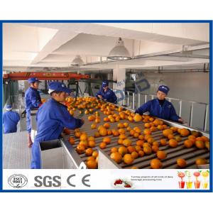 China Fruit Juice Processing Equipment With Citrus / Tangerines / Orange Juice Extractor Machine supplier