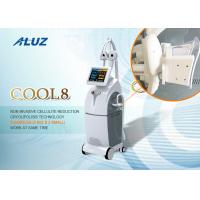 Nettoyez à l'aspirateur Cryolipolysis amincissant la machine pour la réduction/perte de poids de cellulites