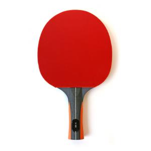 Professional Table Tennis Paddle Inverted Pips Anatomic Composite Handle Sponge 2.0mm