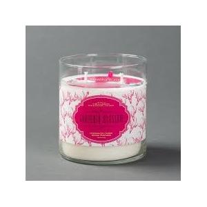 China 100% paraffin wax  2 wicks scented glass candle with printing label and hang tag supplier