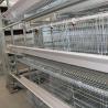 China Adjusting Automatic Battery Cage System , Enriched Wire Steel Cage For Chicken wholesale