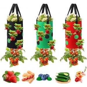 Strawberry Grow Bags, No Gauze Growing Bag, Hole Upside Down Planter Handling Planter Bags, Planting Strawberries