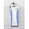 CE approved 0.1 Celsius adjustable 3 cryo handles fat reduction cryolipolysis freeze slimming machine