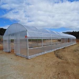 Single Span PE Film Greenhouse TUV Low Cost Poly Tunnel Greenhouse