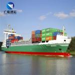 LCL Sea Freight Forwarder China To NZ Boston Wellington Auckland Hamilton