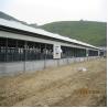 China Structural Steel Poultry House for Pig or Goat Barns with high standard quality wholesale
