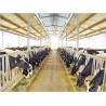 Energy-efficient Light Weight Steel Structural Framing Cowshed Systems With