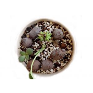 8-16 mm Clay Pellets Growing Medium Garden Decoration Ball For Hydroponic Aquaponics