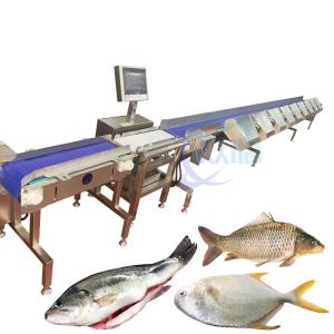 China Fully Automatic Fish Weight Sorting Machine Food Conveyor Weighing Scale supplier