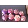 China 5cm Blood Pressure Reducing Natural Fresh Onion wholesale
