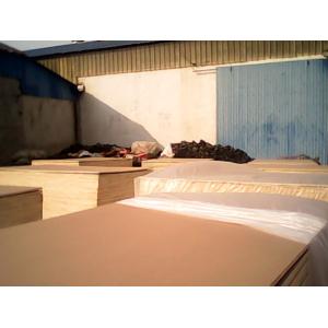 China kraft paper faced plywood wholesale