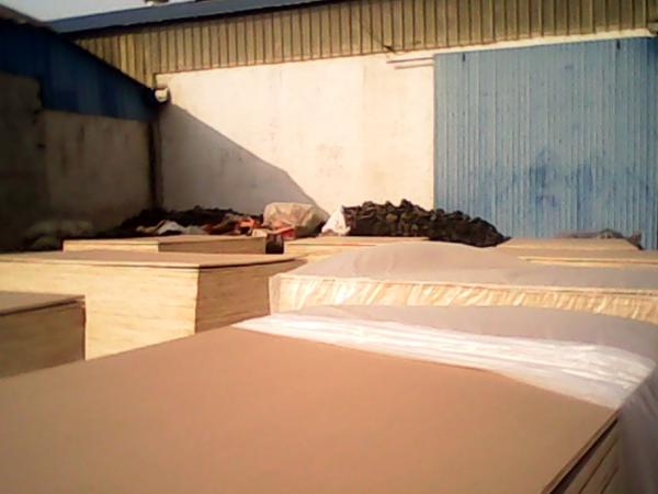 kraft paper faced plywood
