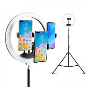 China OEM Studio Photo Selfie Makeup Camera Ring Fill Light LED Circle Ring Light With Foldable Tripod Stand supplier