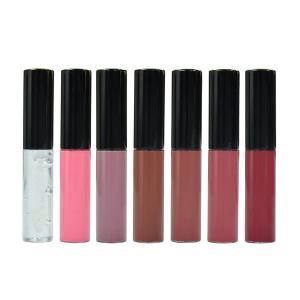 Natural Liquid Glossy Vegan Nude Private Label Makeup Lip Gloss