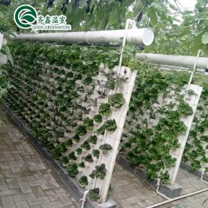 China Boost Potato Harvest Large Plastic Pipes Multi-Span Agricultural Greenhouses supplier
