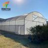 China Galvanized Steel Frame Sunlight Greenhouse Low Cost Tunnel Greenhouse For Flowers Plant wholesale