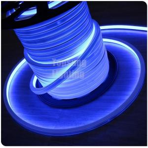 New design square blue 16*16m  220v flexible square led neon flex light