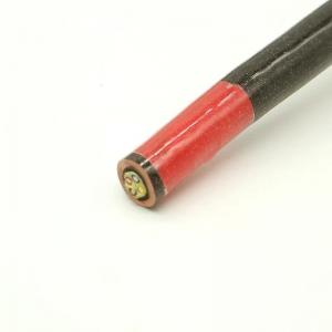 China High Temperature Resistant Cable Heat Resistant Flexible Cable 6mm supplier